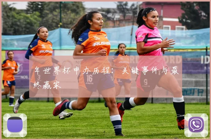 年世界杯申办历程：关键事件与最终赢家