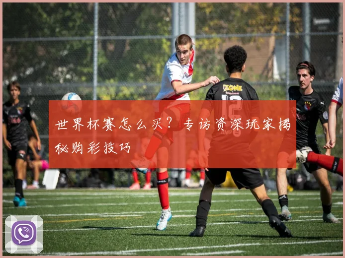 世界杯赛怎么买？专访资深玩家揭秘购彩技巧