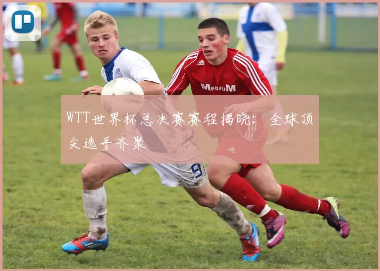 WTT世界杯总决赛赛程揭晓:全球顶尖选手齐聚