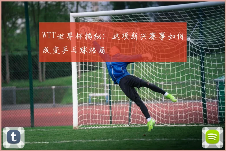 WTT世界杯揭秘：这项新兴赛事如何改变乒乓球格局