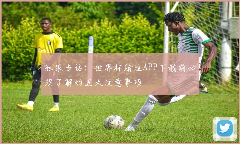 独家专访：世界杯赌注APP下载前必须了解的五大注意事项
