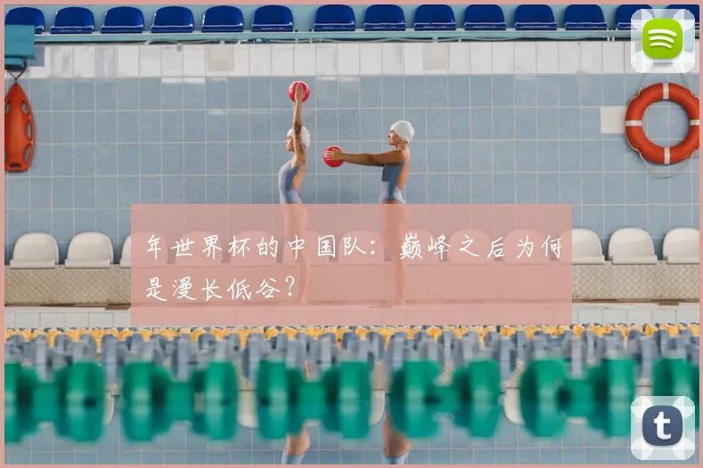 年世界杯的中国队：巅峰之后为何是漫长低谷？