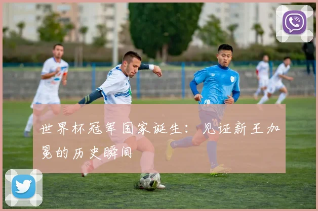 世界杯冠军国家诞生:见证新王加冕的历史瞬间